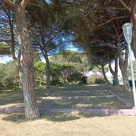 Lara 2 - T2 Balcon Piscine Lit Double & Clic-Clac Parking Pres Du Centre-Port Et Ile Loisirs آجد المظهر الخارجي الصورة
